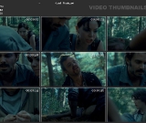 last_picnic-avi