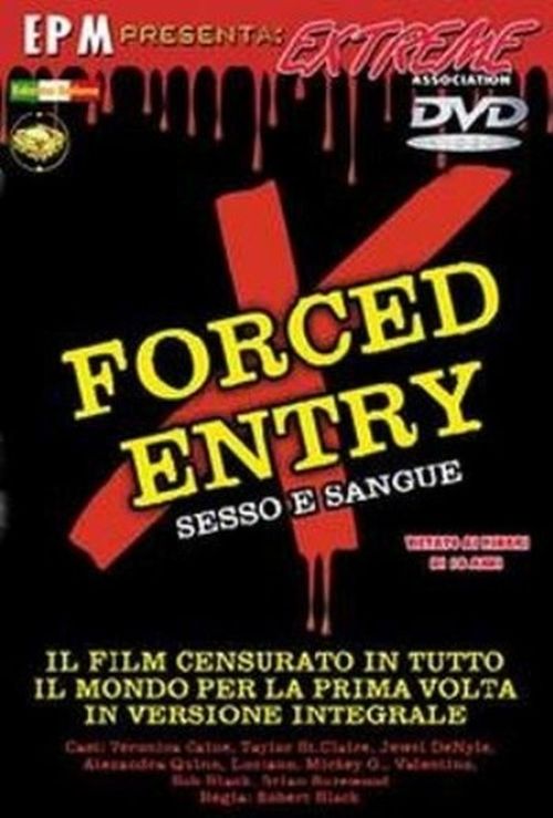 Forced Entry  movie