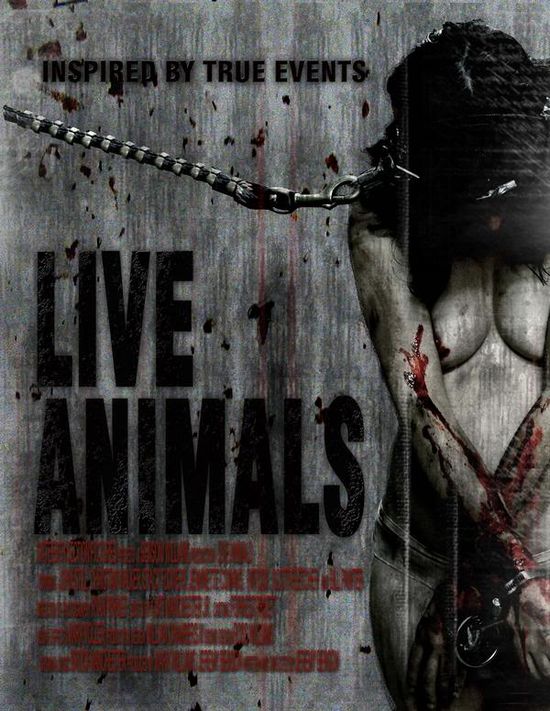 Watch Live Animals Download Free