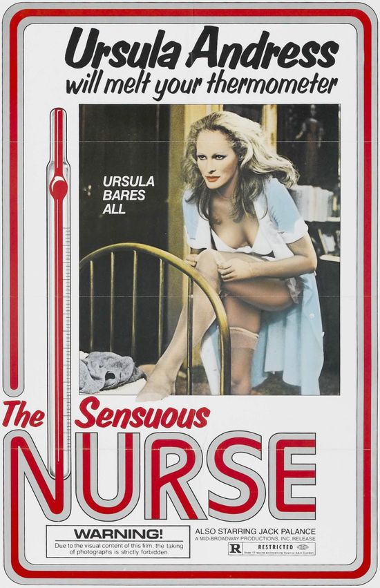The Sensuous Nurse movie