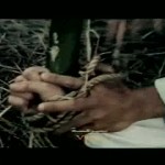 Mantis Fists and Tiger Claws of Shaolin movie