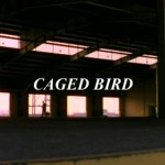 Red Shoe Diaries: Caged Bird movie