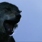 Romasanta: The Werewolf Hunt movie