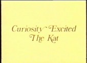 Curiosity Excited the Kat 1983