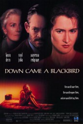 Down Came a Blackbird 1995