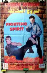 Fighting Spirit AKA King of the Kickboxers 2 (1992)