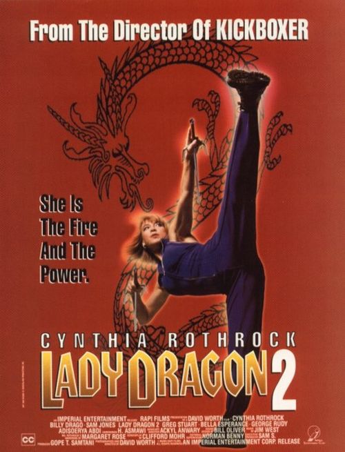 Lady Dragon 2 AKA Angel of Fury 1993 Download movie.