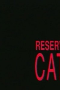 Reservoir Cats
