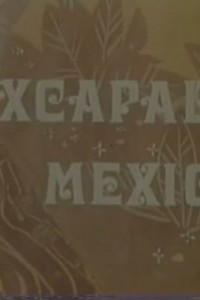 Sexcapade in Mexico