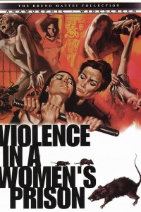 Violence in a Women’s Prison