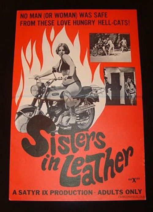 Sisters in Leather  movie