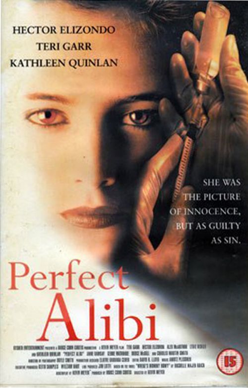 Perfect Alibi movie