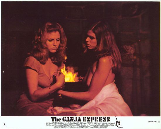 The Ganja Express movie