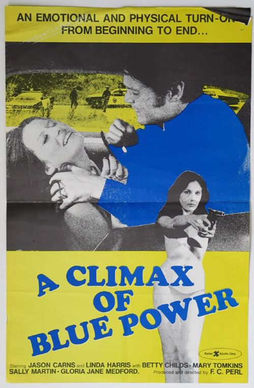 A Climax of Blue Power movie