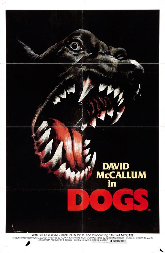 Dogs movie