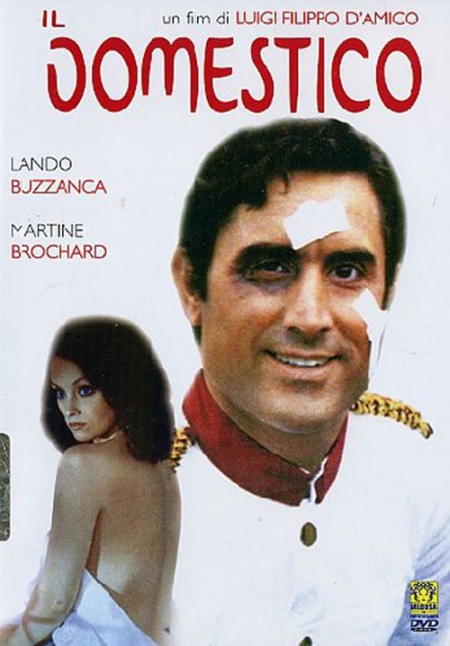 Il domestico movie