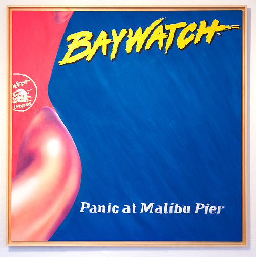 Baywatch Panic at Malibu Pier movie