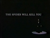 The Spider Will Kill You