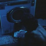 The Washing Machine movie
