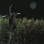 Night of the Scarecrow movie