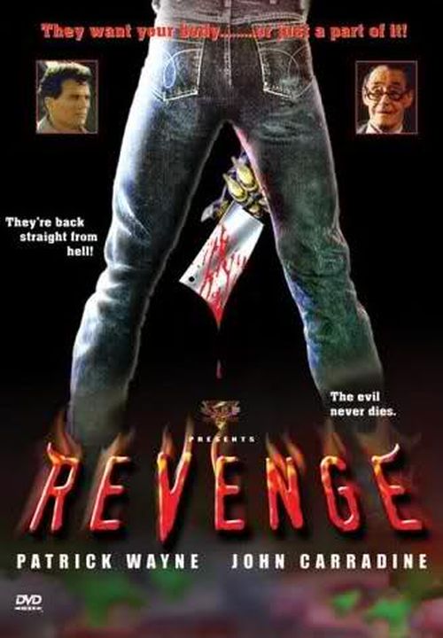 Revenge movie