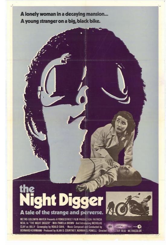The Night Digger movie