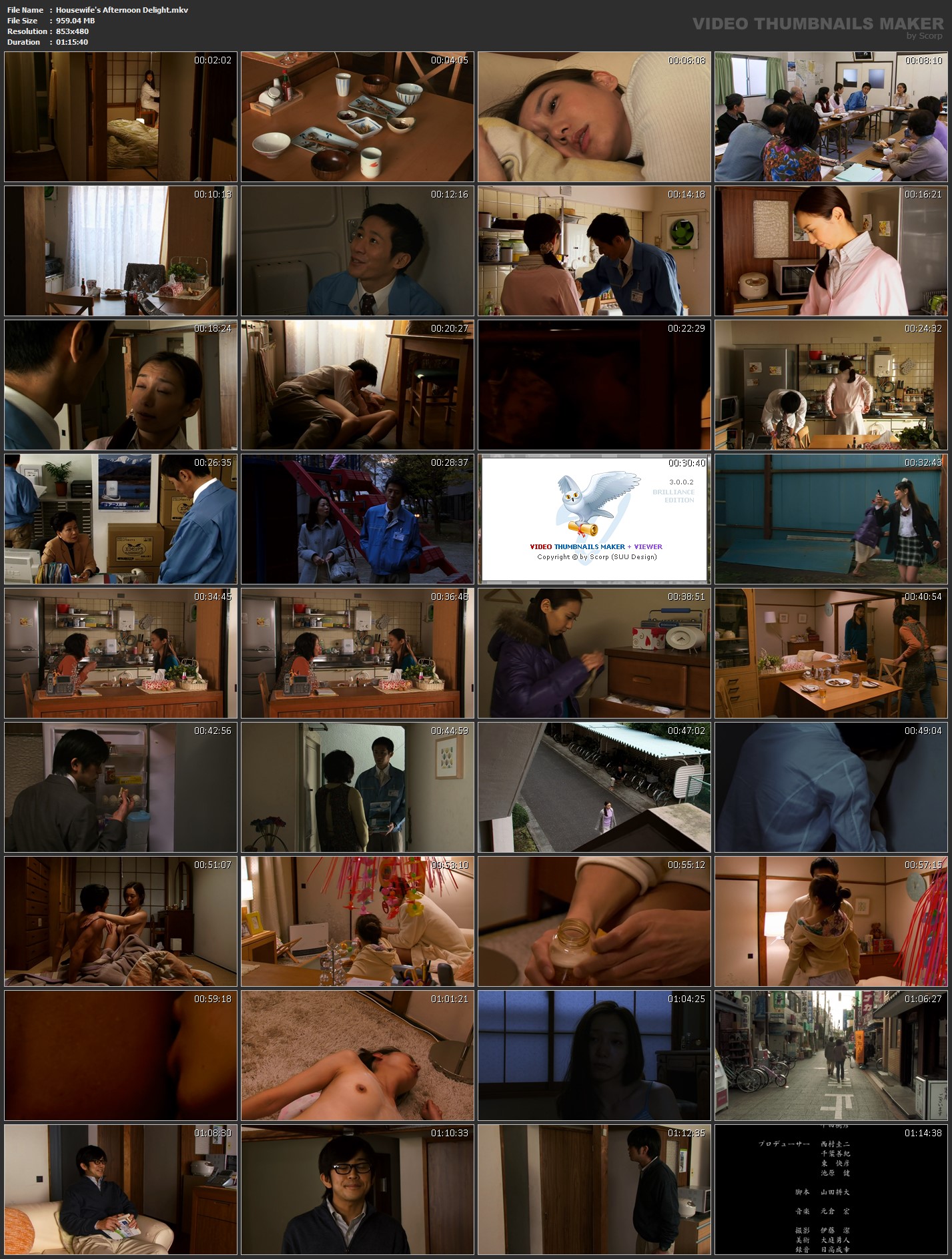 Housewife's afternoon delight