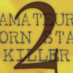 Amateur Porn Star Killer 2 movie