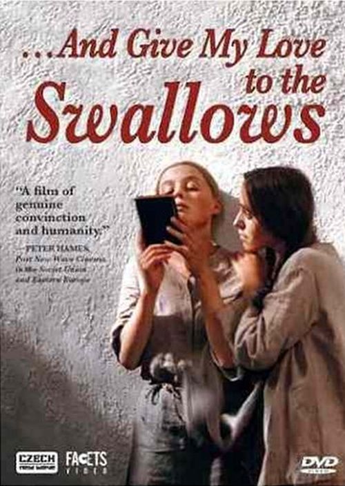 And Give My Love to the Swallows movie
