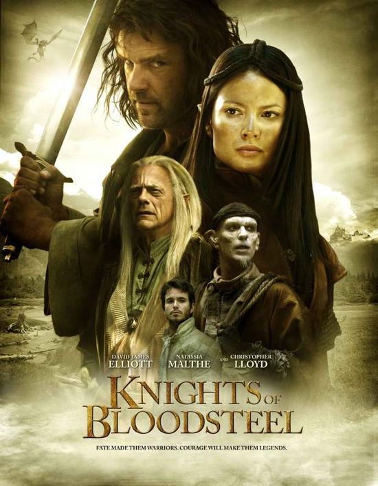 Knights of Bloodsteel movie