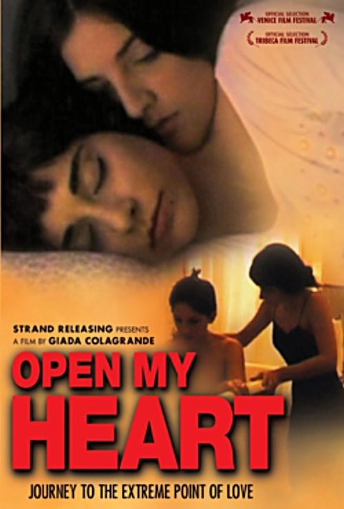 Open My Heart movie